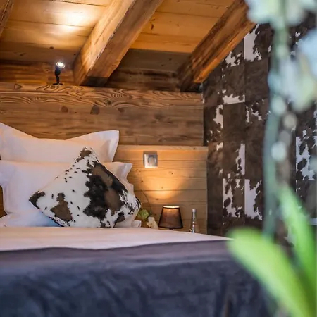 Tamo Alpesi faház Courchevel